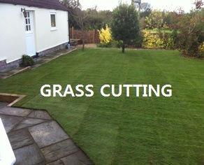 Grass Cutting