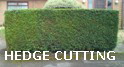 Hedge Cutting