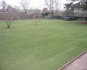 More Turfing Before and After